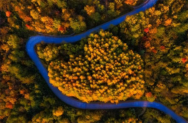 【联动宣传】陇南冬韵三重奏：冰雪秘境、桃源康养与诗意画廊