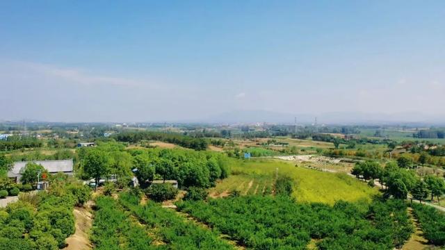 大美泌阳：水 墨 春 水