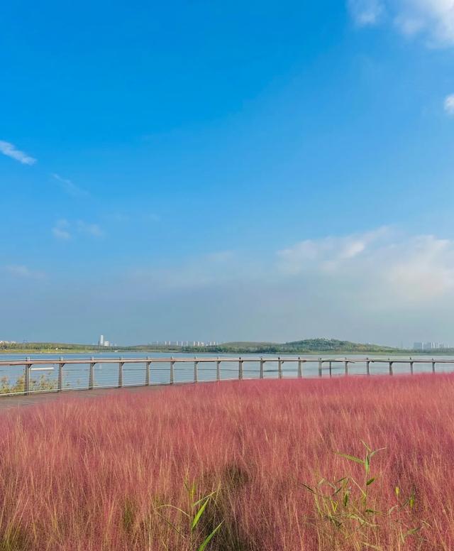西安这个免费的“小江南”，景似西湖，人少还更有故事提起西安，