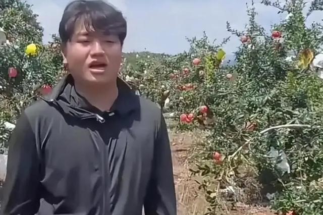 人心不足蛇吞象！人民日报点名，揭开全红婵真实处境，误会太深