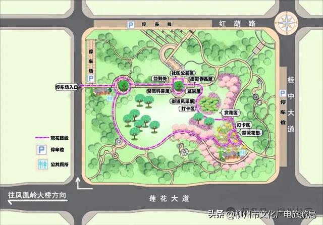 把夏天泡进花海里！前茅公园的浓烈+园博园的清新，快来享用双份“夏日特调”