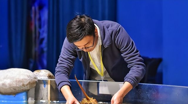 13年才能完成繁殖！面临灭绝性灾难，2019年在超市水箱保下3只