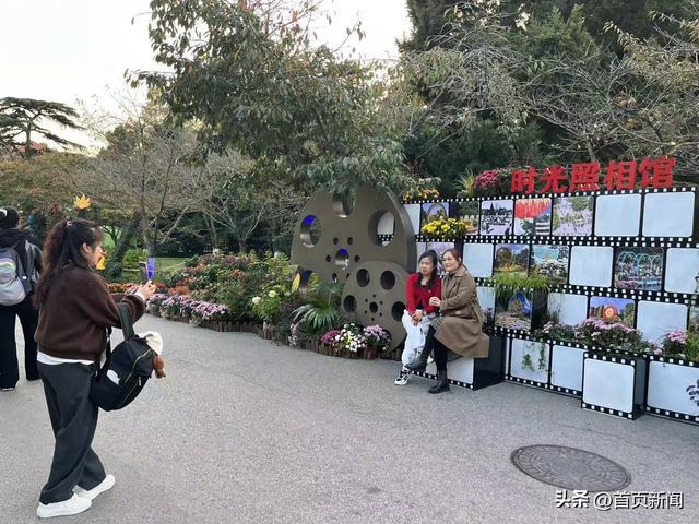从菊展到农文旅，青岛“菊经济”生态正当时