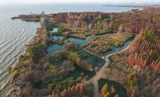 国内绿化最好的10大城市，南宁第3，昆明第6，长春垫底！