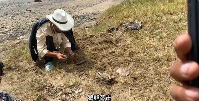 95后小伙骑行可可西里无人区失联，最后一条朋友圈说“有狼叫”