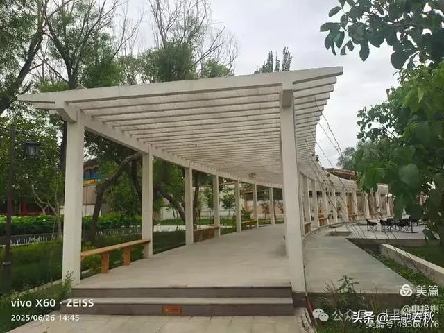 新疆库车:穿越历史的文化之旅|申艳娟