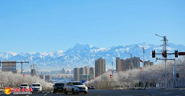 听我的，雪后的乌鲁木齐，真的能治愈一切！