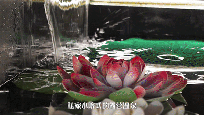 官宣！云浮要去内蒙古 “交换冬天”！