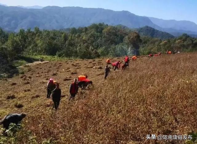 铜钱镇：麓隐山水 寻境桃源 赴一场枕梦江南的悠然之约