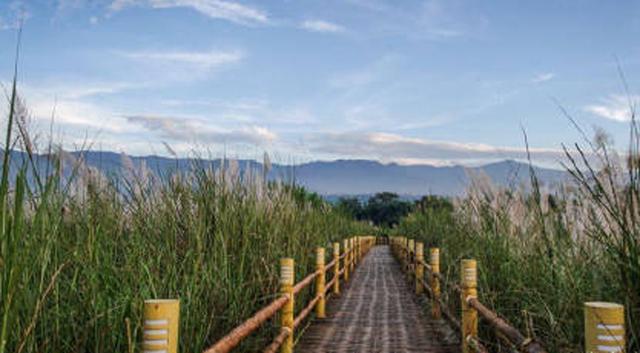 携台湾亲朋自驾游滇西南之十一