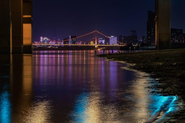 平遥人，去了襄阳跟荆州，直言不讳：襄阳人跟荆州人气质截然不同