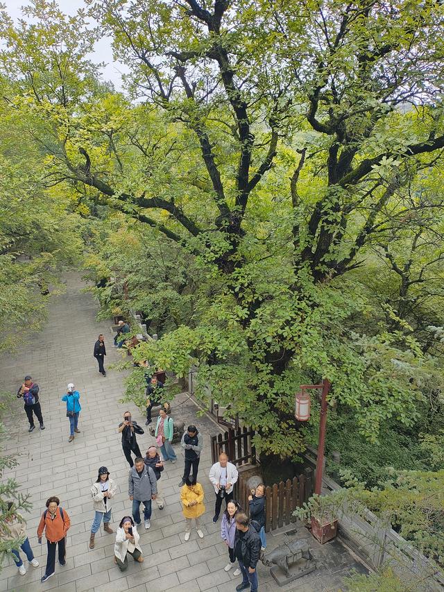 再游崆峒山.问道广成子