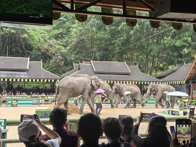 56个民族中的最后一个叫基诺族