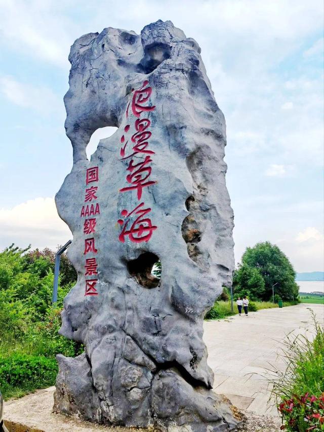 【散文】我是草海里的一株水草‖杨光英