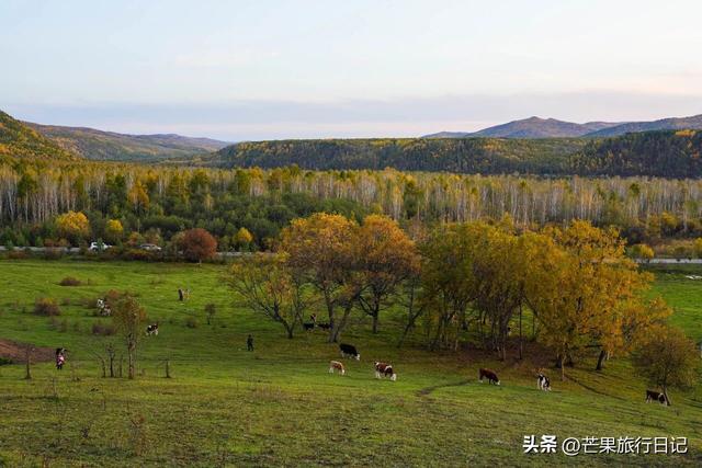 内蒙古与俄罗斯交界有个村庄，需报备才可进入，与世隔绝风景秀丽