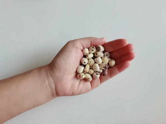 这种应季食物，高碳水却低 GI，三高也能放心吃！错过后悔一年