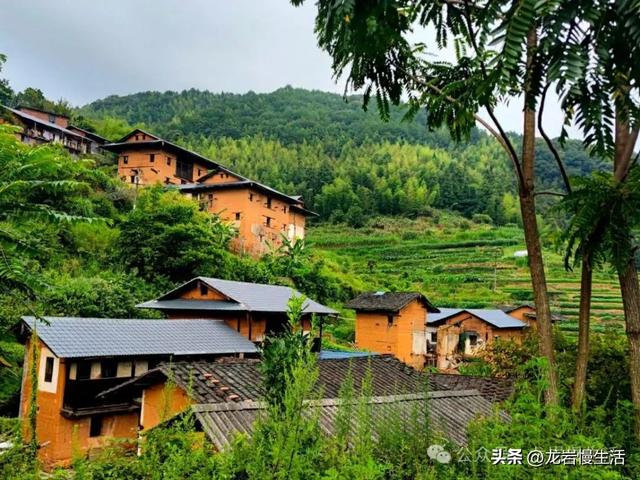 大美高陂 一村一景