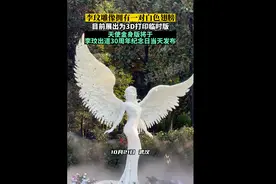 魂归故里！武汉姑娘李玟已安葬于故乡武汉图片