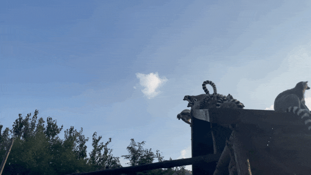 又美又可爱的西海岸！总要来一次！