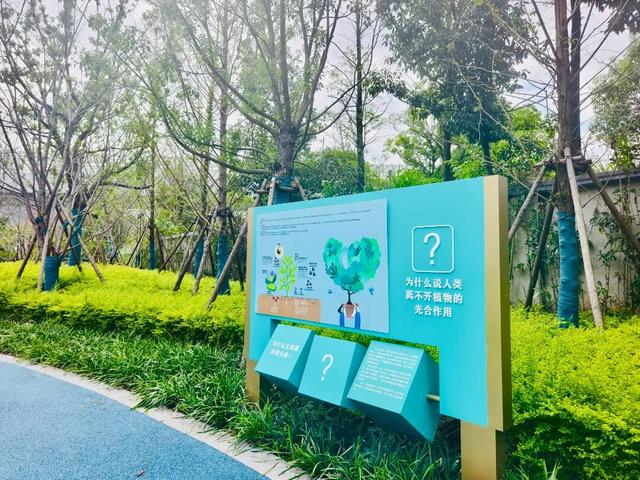 遛娃好去处+1！民主公园建设完成啦~