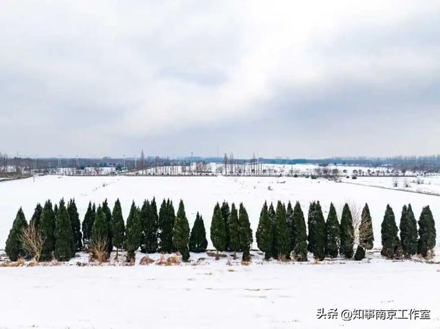 一场大雪，南京暴增20多个“5A景区” ！