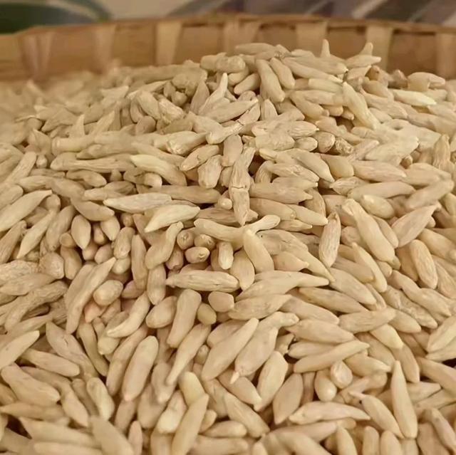 万万没想到，叶片像韭菜的麦冬，挖根能卖到上百块
