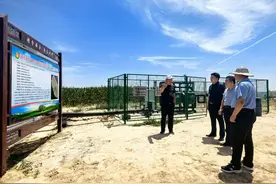 榆阳：强化工作措施 抗旱保水保秋粮图片