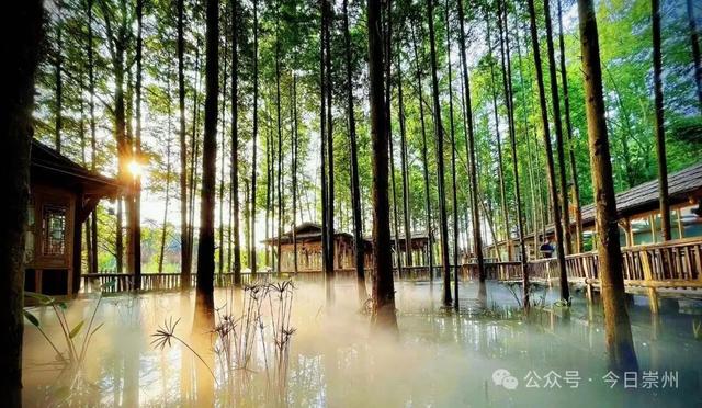 崇州银发康养游线路来啦~带上爸妈解锁！