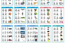 宝宝早教认知启蒙卡（一）图片