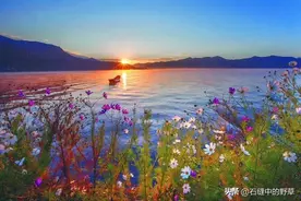 男人50一枝花，20个没必要花的钱，你都知道吗？图片