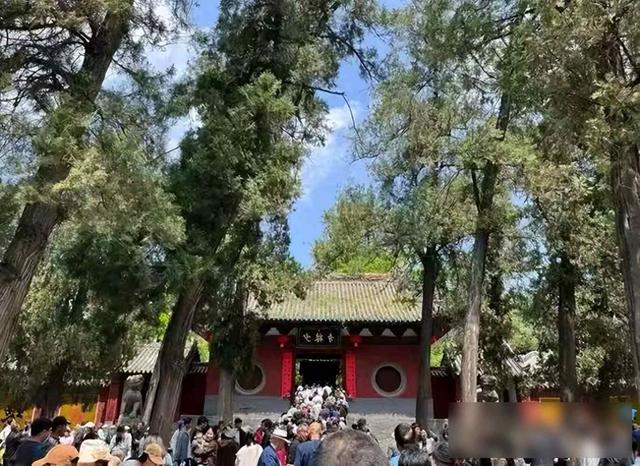 少林寺惊天内幕：老方丈遗书曝光，释永信早已被逐出师门？