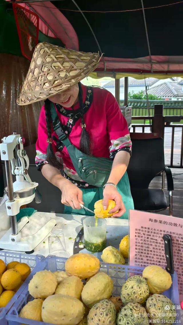 彩色旅图｜光影里的霞浦：滩涂、古树与渔排的诗意时光