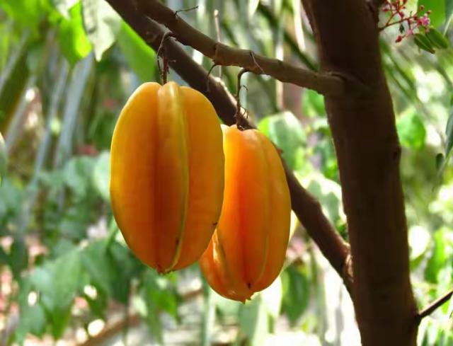 带着孙女去旅行（164）广西扬美古镇