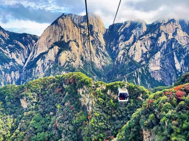 错过再等一年！华山红叶已到最佳期！