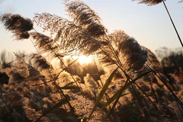 用电影的方式“打开”初冬！每一帧，都浪漫