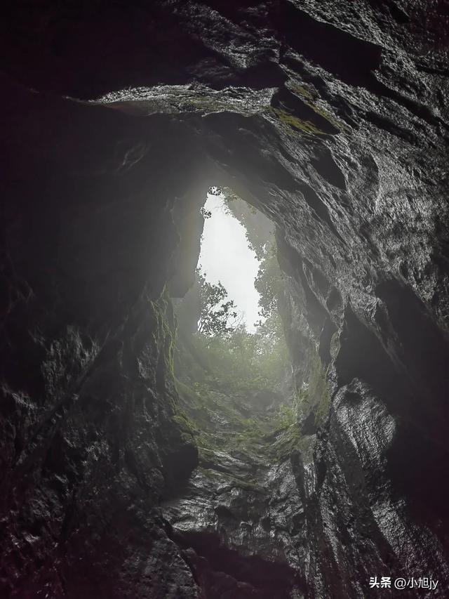 来呀，去白云山看金莲花，辽阳县大黑山风景区境内的白云山