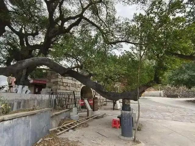 [福建 厦门市翔安区]