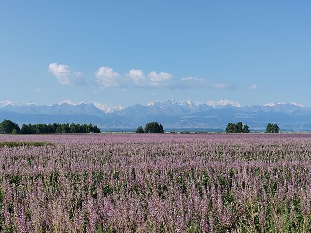 北疆行⑩——夏塔古道