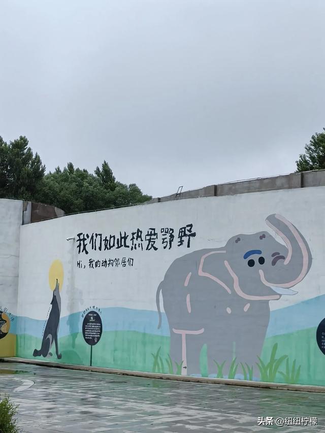 刚从内蒙古回来，在鄂尔多斯玩了多个景点，想说的话有很多