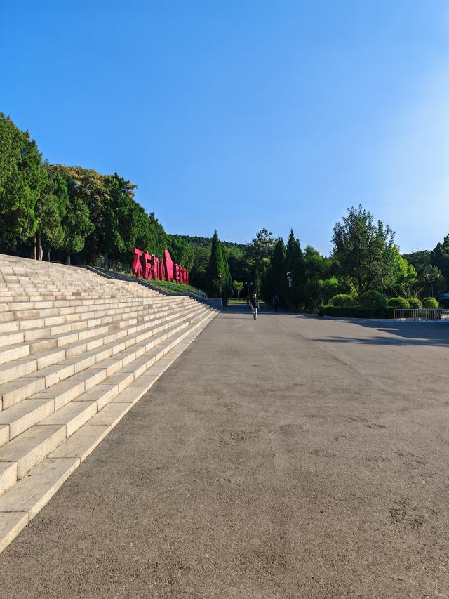 英雄山下银杏果