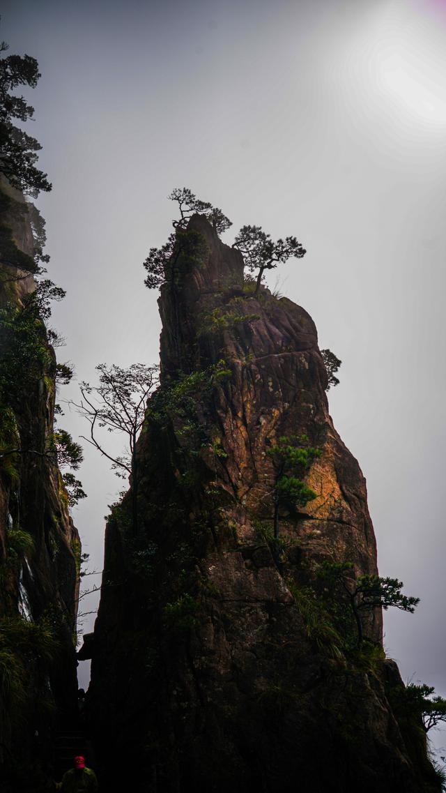 黄山记奇：从松谷庵到玉屏楼