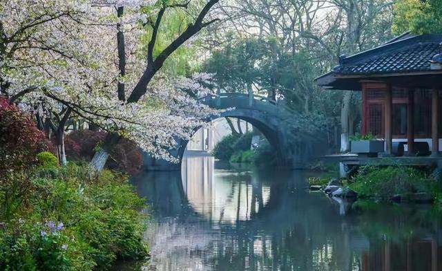 杭州惊现大批日本游客！不挤西湖不抢杭帮菜，真相竟藏在行李箱里