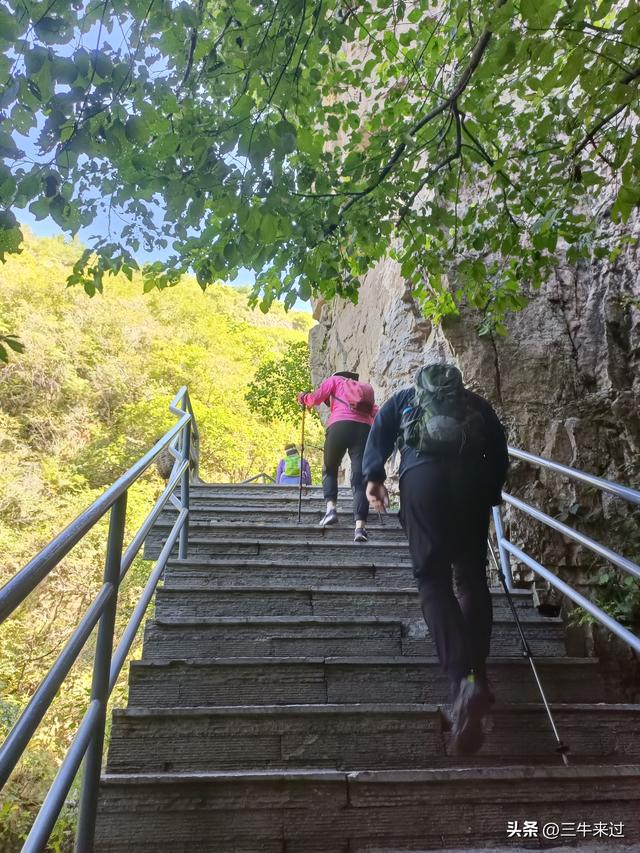 无为在歧路，白露潭溪山