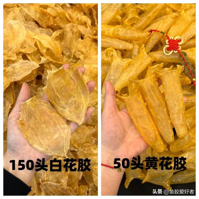 花胶炖煮后变小 花胶炖了变小