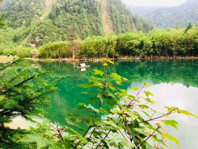 深挖宕昌清凉密码：除了热门官鹅沟，这几处小众地更懂“避暑”