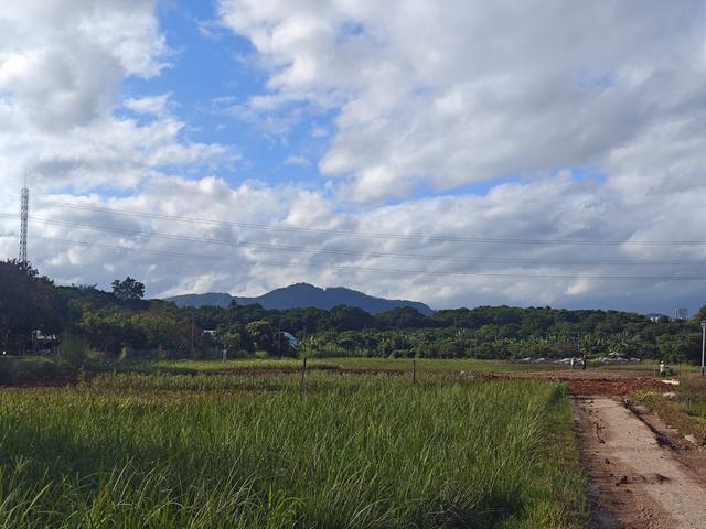 西丽湖绿道，慢慢骑慢慢地欣赏。