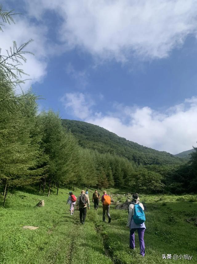 两次本溪南岭徒步记｜高山草甸，湖池松林，我被南岭种草