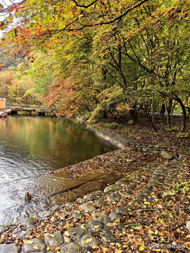 2025辽宁赏秋之旅日记(2)——游览丹东蒲石河森林公园