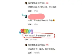 怎样在文章中插入图片，照这样一步步操作就行了！图片