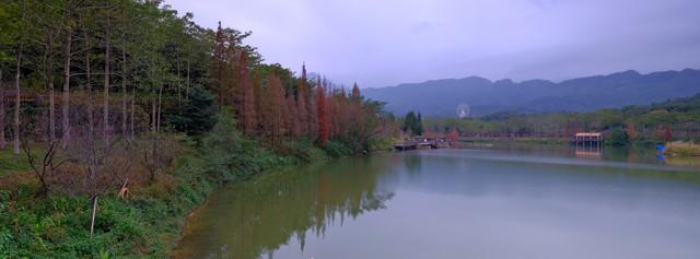 广东10城深秋限定！红叶银杏+古寺，小众路线美到刷爆朋友圈！